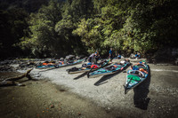 NZ2017-9742