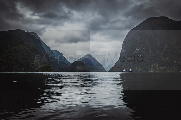 NZ2017-9992