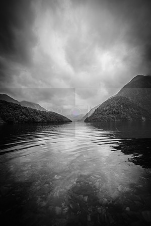 NZ2017-9965