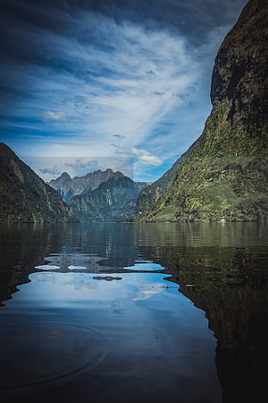 NZ2017-9724