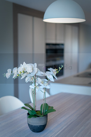 Myers Touch - Slattery Kitchen-06910