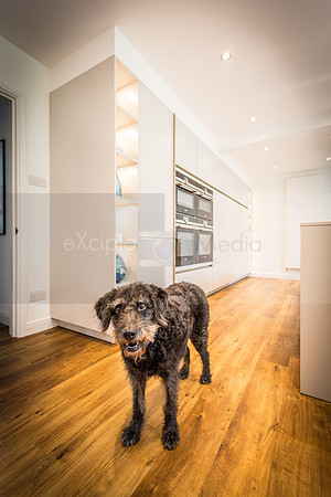 Myers Touch - Whelan Kitchen-2576