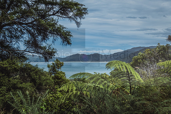 NZ2017-8280