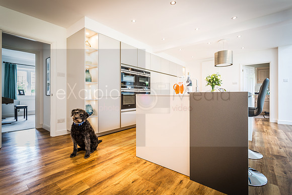 Myers Touch - Whelan Kitchen-2521