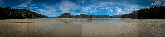 NZ2017-8444
