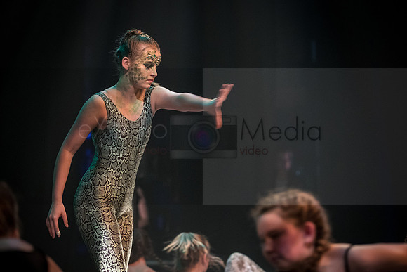 Junglebook-8014