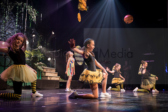 Junglebook-47164