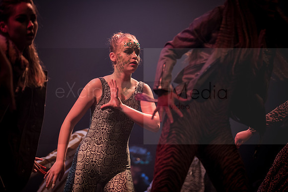 Junglebook-9078