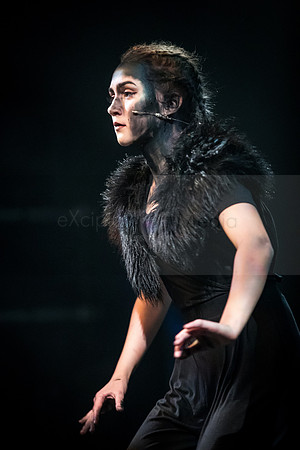JungleBook-0716