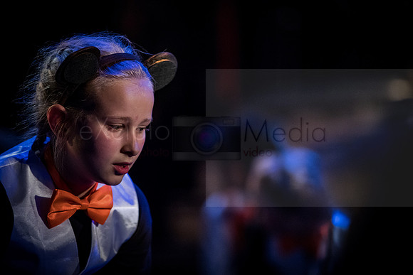 JungleBook-0914