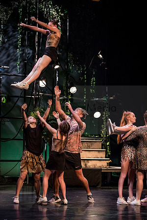 JungleBook-0326