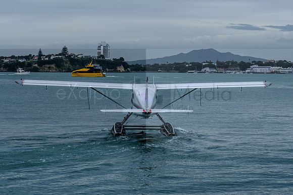 NZ2017-8006