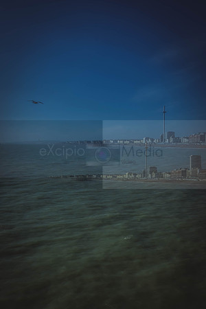 Brighton-1268