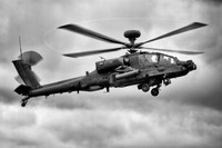 RIAT 2012