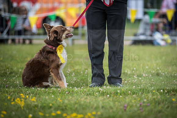 HIOWAA - 10th Anniversary-3626