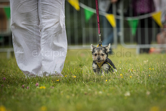 HIOWAA - 10th Anniversary-3576