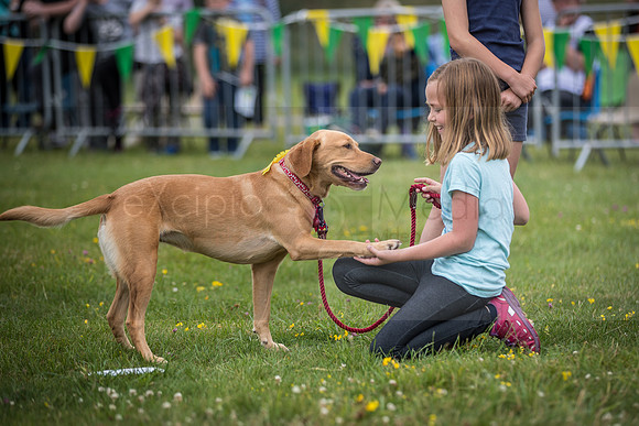 HIOWAA - 10th Anniversary-3665