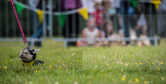 HIOWAA - 10th Anniversary-3577