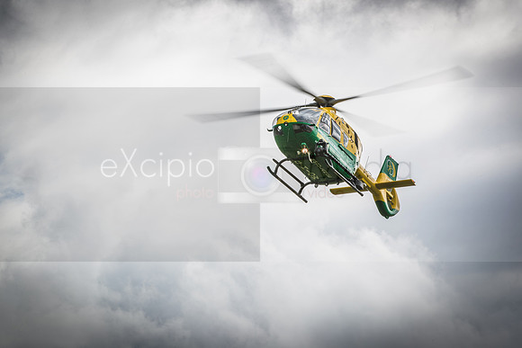 HIOWAA - 10th Anniversary-3037