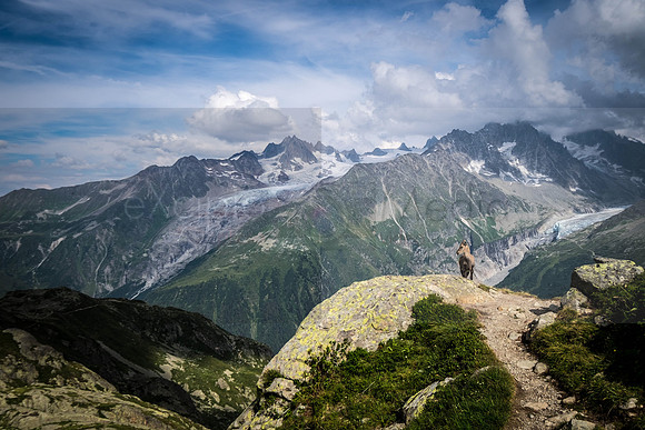 Chamonix-7202