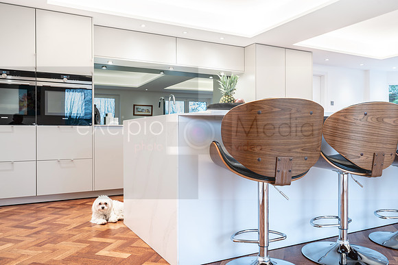 Myers Touch - Greenwood Kitchen-04931