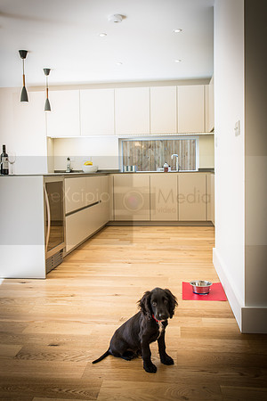 Myers - Little Kitchen-2156