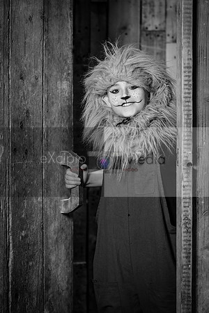 Road To Oz - Cast Photos Friday-01118
