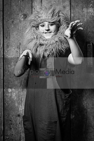 Road To Oz - Cast Photos Friday-01128