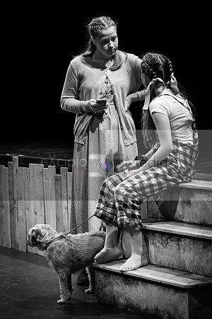 Road to Oz - Friday 2pm-04898
