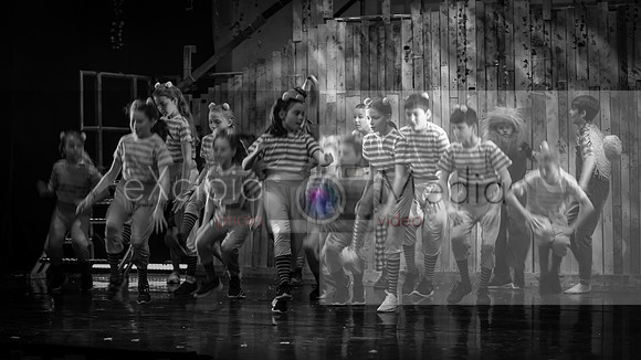 Road to Oz - Friday 2pm-05383