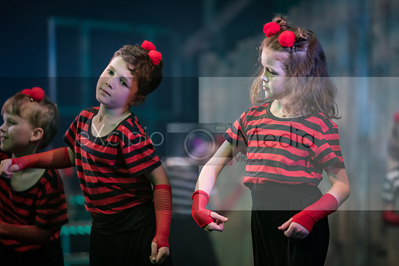 Road to Oz - Friday 7pm-06054