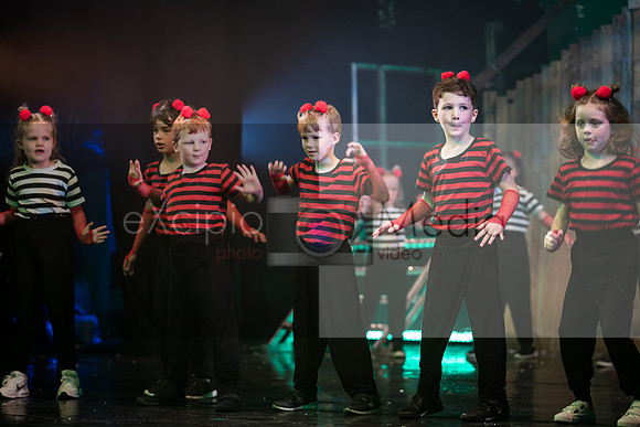 Road to Oz - Friday 7pm-06060