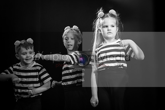 Road to Oz - Friday 7pm-06074