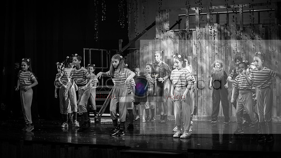 Road to Oz - Friday 7pm-06108