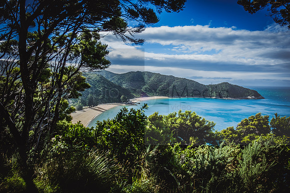 NZ2017-8306