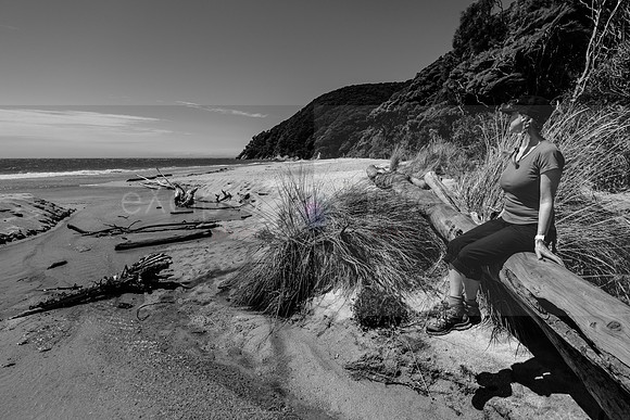 NZ2017-8408