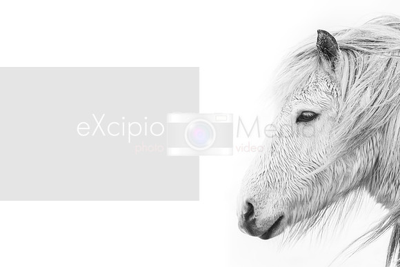 Iceland 2019-09645