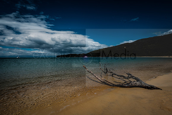NZ2017-8537