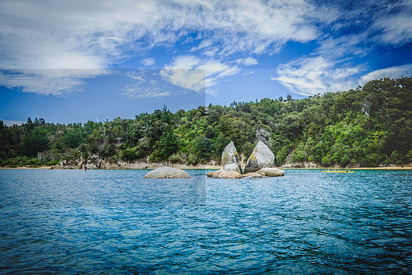 NZ2017-8227
