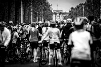 Palace to Palace 2016-1042