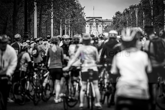 Palace to Palace 2016-1042