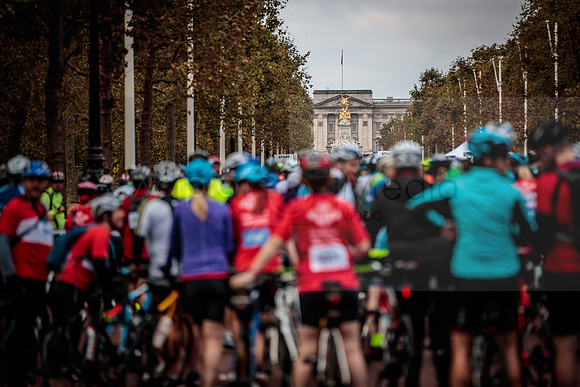 Palace to Palace 2016-1041