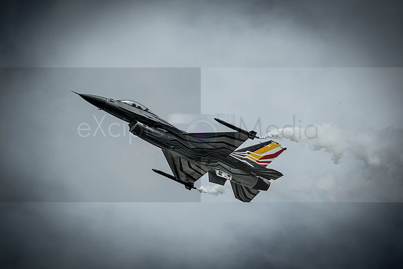 RIAT 2016-8942