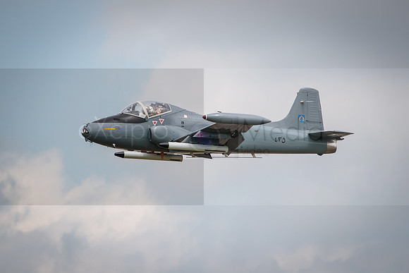 RIAT 2016-9681