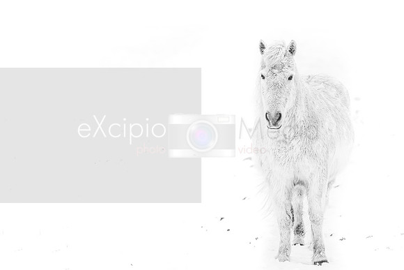 Iceland 2019-09662
