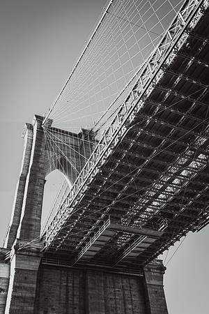 NYC 2019-06955