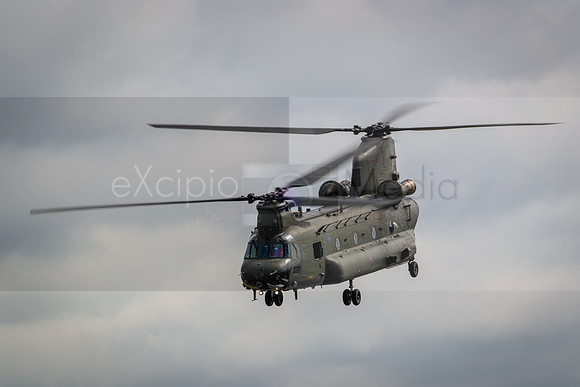 RIAT 2016-8391