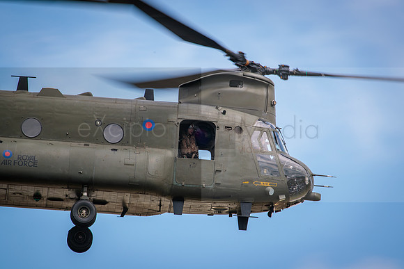RIAT 2016-8646