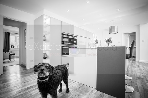 Myers Touch - Whelan Kitchen-2542