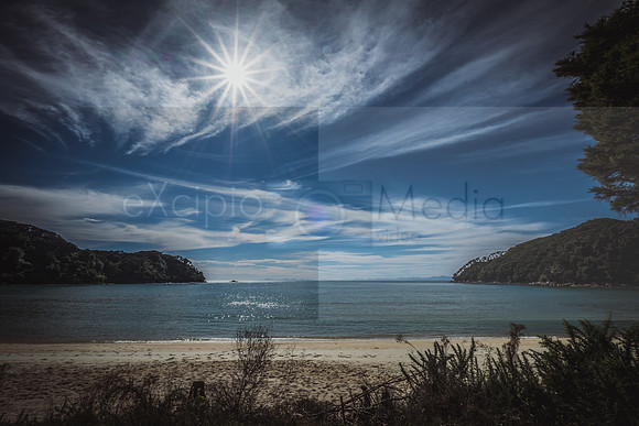 NZ2017-8867